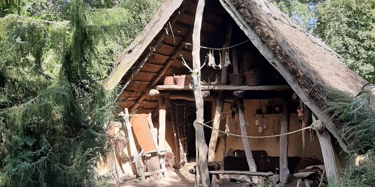 a0c8c449-cd99-4510-ba8f-1033acd4cdda