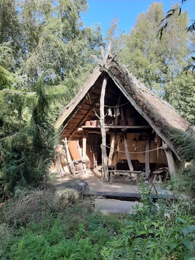 a0c8c449-cd99-4510-ba8f-1033acd4cdda