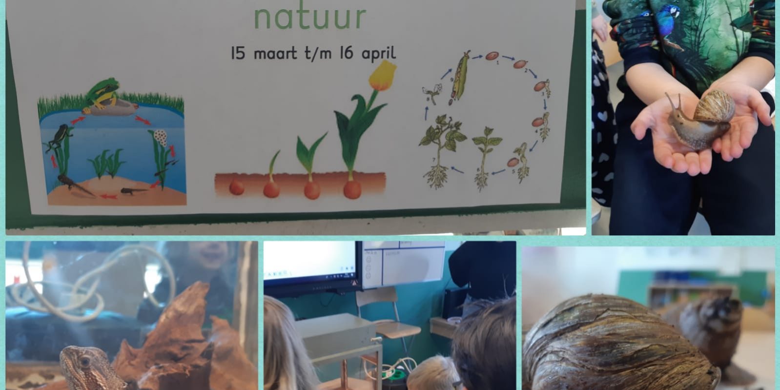 e25f413d-dab6-4d09-ad35-d4d0033f183c