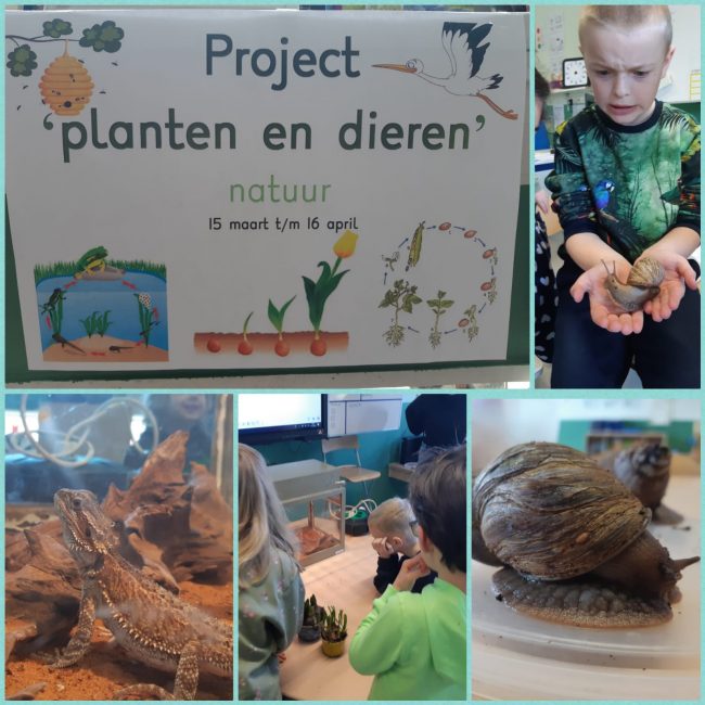 e25f413d-dab6-4d09-ad35-d4d0033f183c