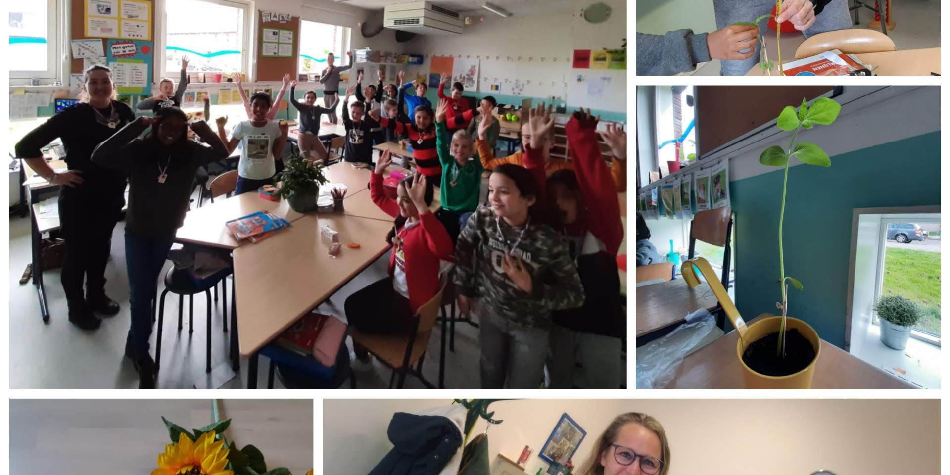 inCollage_20210415_103539862